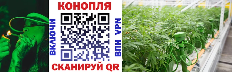 Канабис White Widow  Минеральные Воды 